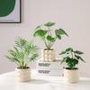 Small Monstera Artificial Plant for Office, Living Room, or Coffee Table Decoration
