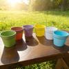 6pcs Colorful Thickened Plastic Flower Pots Sturdy Succulents, Pothos Pots For Succulents Pothos Green Plants Gardening Decor