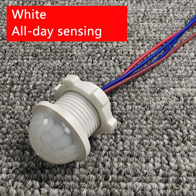 Mini embedded 220V outdoor waterproof human body infrared sensing switch LED rainproof intelligent sensor probe