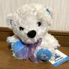 [USED] A-nation Blue Teddy Bear, Stuffed Animal, White