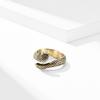 Neutral and Cool Style Stainless Steel Snake Ring Personalized Small Animal Snake Ring