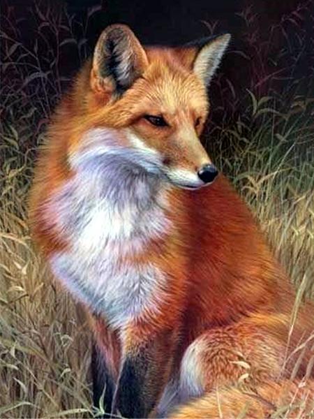 5D Diamond Painting Cross Stitch Animals Diamond Embroidery Fox Full Round Rhinestone Pictures Home Decor