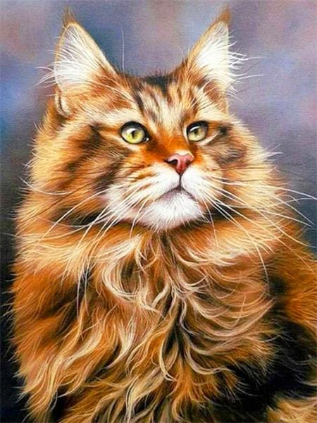 

5d Алмазная картина Новая кошка Полная квадратная/круглая вышивка Мозаика Животное Вышивка крестом Домашний декор Картина Full Round 20x30CM