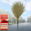 Handun Integrated Bamboo Outdoor Sweeping Broom