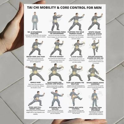 3Pcs Men Tai Chi Training Plan Guide for Posture Correction And Pain Relief Core Strength Flexibility Muscle Endurance Poster No Impact Exercise for