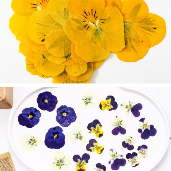 Yousheng 24 Buc. Flori Naturale Presate Uscate DIY Artă Meșteșuguri Topper Tort Decorare Cocktailuri Rășină Bijuterii Scrapbooking Semne de Carte Confecționare Colorat