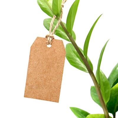 100Pc Brown Kraft Paper Tags With Hole For Wedding Or Party Decoration Gift Tags