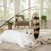 Kedi – Kedi Oyuncakları
