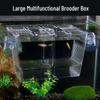 Acrylic Fish Breeding Box: Guppy & Betta Tank Isolation Incubator