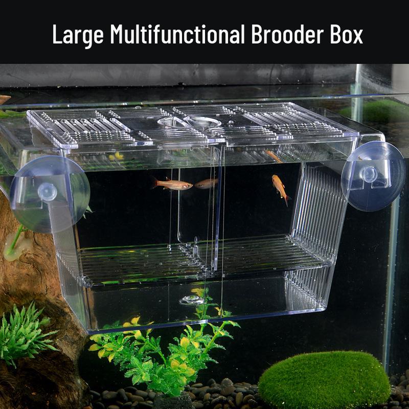 Acrylic Fish Breeding Box: Guppy & Betta Tank Isolation Incubator