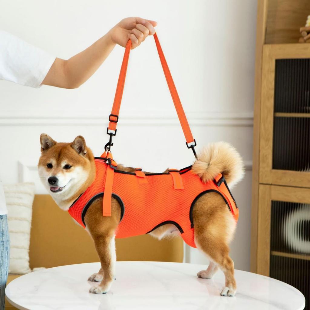 GIIPET Dog Care Dog Care Walking Elderly Care Easy to Put On and Take Elderly Medium Small Assists Front and Back Convenient for Going Out L -