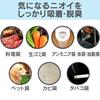 IRIS OHYAMA Air Purifier MSAP-DC100 Compatible Replacement for Lifestyle Odors 25 Tatami PMMS-DCTF