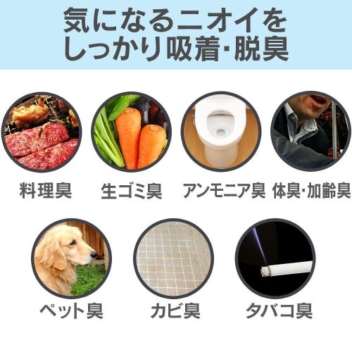 IRIS OHYAMA Air Purifier MSAP-DC100 Compatible Replacement for Lifestyle Odors 25 Tatami PMMS-DCTF