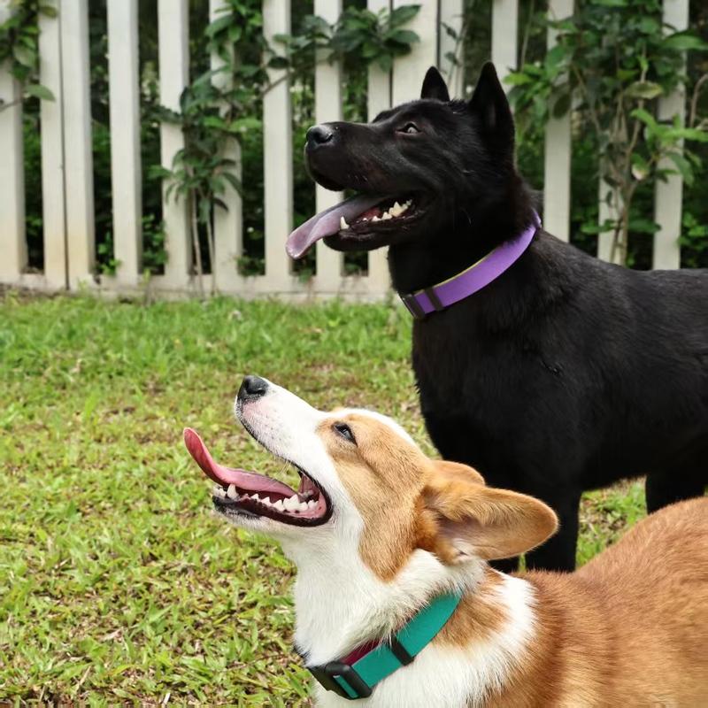 This Waterproof Dog Collar and Leash Set Is Made of High-Quality PVC Material, Which Is Durable and Wear-Resistant