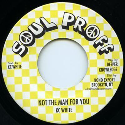 7inch Record KC WHITE  Not The Man For You  Dub Of Ethipi DKR178 Soul ProffDeep 1980 US Reggae Ska  Dub Used