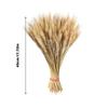 50pcs DIY Craft Dry Wheat Spikes Natural Dried Flowers Dried Wheat Stalks  Christmas Decoration