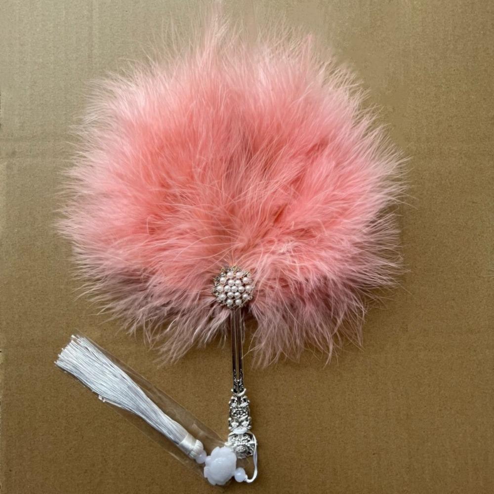 Vintage with Tassels Fairy Feather Fan Colorful Fluffy Craft Fan Foldable Photo Prop Dance Hand Fan