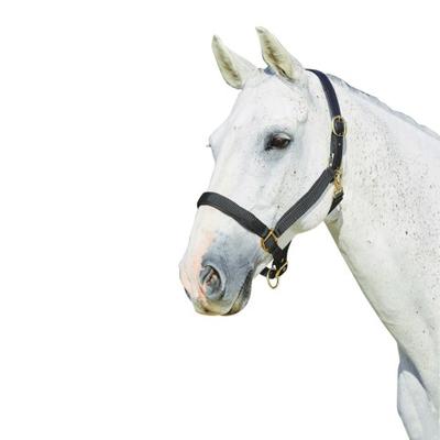 Kincade Deluxe Netz-Halfter mit Lederkrone