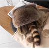 Little Raccoon Winter Hat with Ear Protection for Kids and Parents - Warm Lei Feng Style