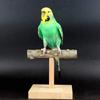 Vogelständer Naturholz Tischplatten-Sitzstange mit Sockel Trainingsspielzeug Käfigzubehör