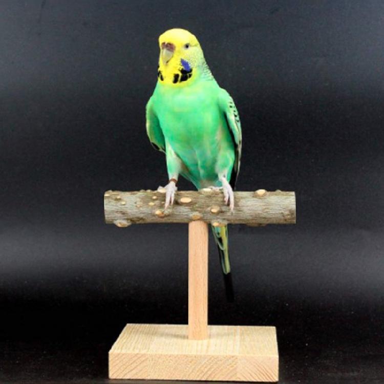 Vogelständer Naturholz Tischplatten-Sitzstange mit Sockel Trainingsspielzeug Käfigzubehör