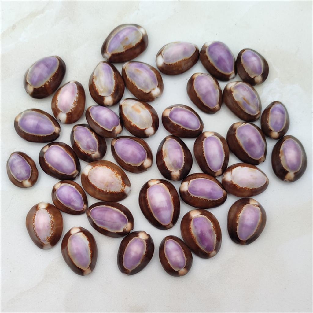Energy Shell Meditation Shell Good Luck Shell Purple Mussel Shell, Can Be Stuck On The Fridge Or Put In The Bag.