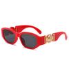 New Fashion Irregular Sunglasses Vintage Men Women Personlity Small Frame Shades Sun Glasses Latest Popular UV400