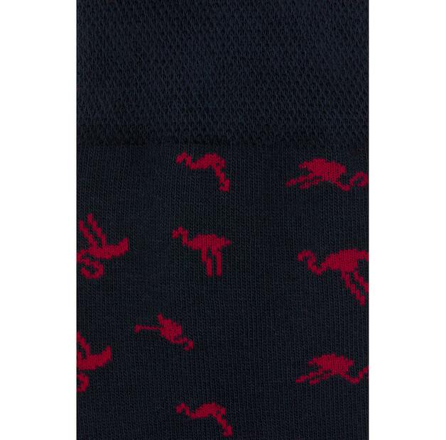 Носки Pako Lorente P000B-SX-524