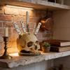 Suport creativ pentru cuțite în formă de craniu pentru decor bucătărie, în stil vintage și cu atmosferă de Halloween