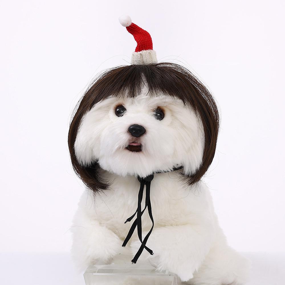 Pet Quality Premium Wig For Dogs And Cats In Trendy Bob Cut For Seasonal Celebrations