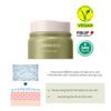 The Saem Urban Eco Harakeke Cream 50 Ml Moisturizing Soothing Nutrition Moisturizing Glowing