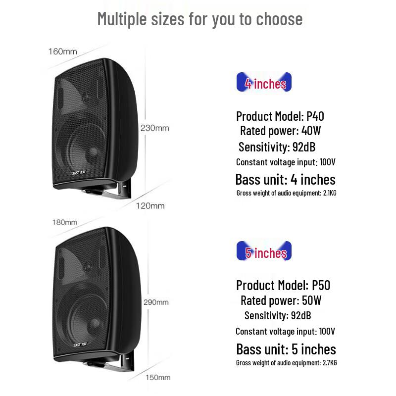 SAST Wall-Mounted Commercial Background Music Speaker CN plug (adapter included)