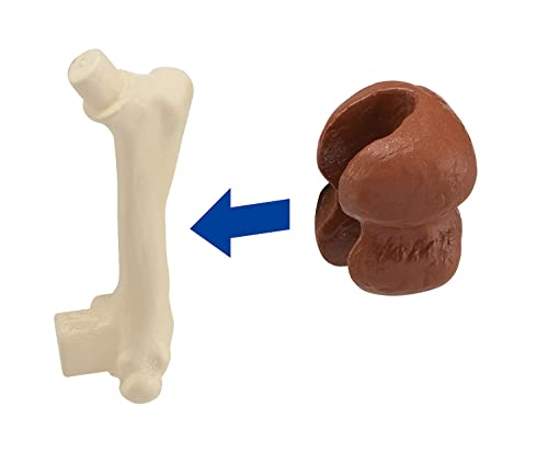 MegaHouse Disassembly Puzzle Science Mammoth Reconstruction Puzzle