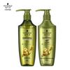 Schwarzkopf Ginger Essence Oil Control Shampoo & Conditioner Set