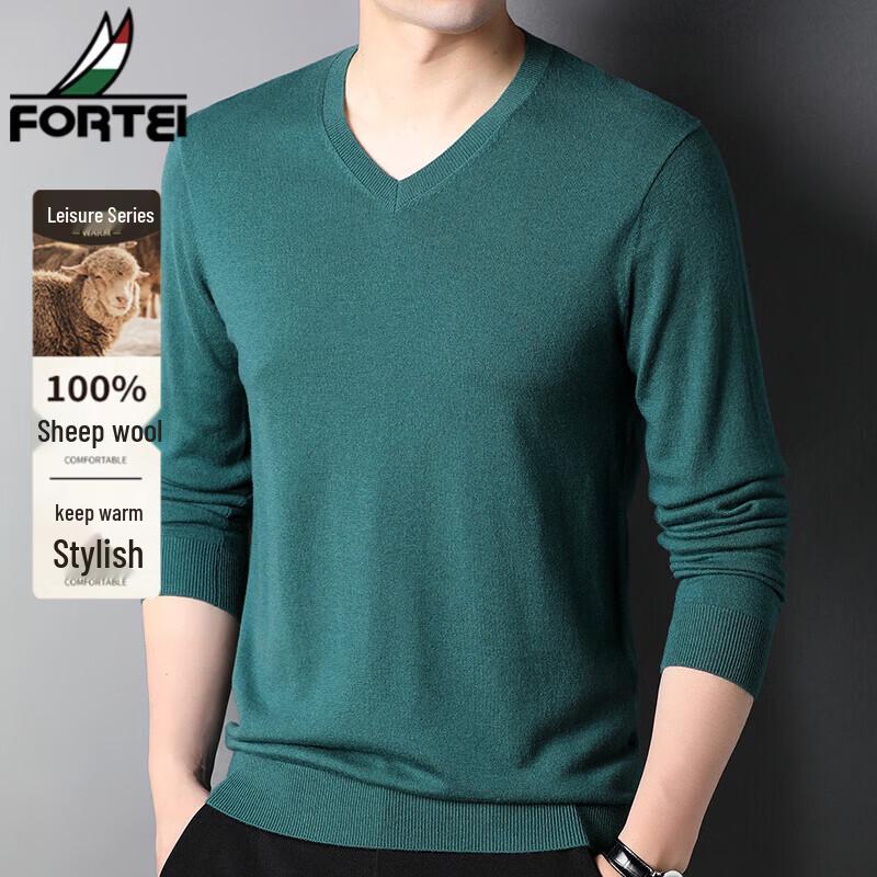 FORTEI Men's 100% Pure Wool V-Neck Pullover Sweater