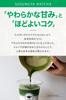 First Flush Tea X For Tea Matcha Powder 100g First Flush Tea from Kagoshima Prefecture Premium Quality Perfect for Cafe Lattes Powdered for Commercial