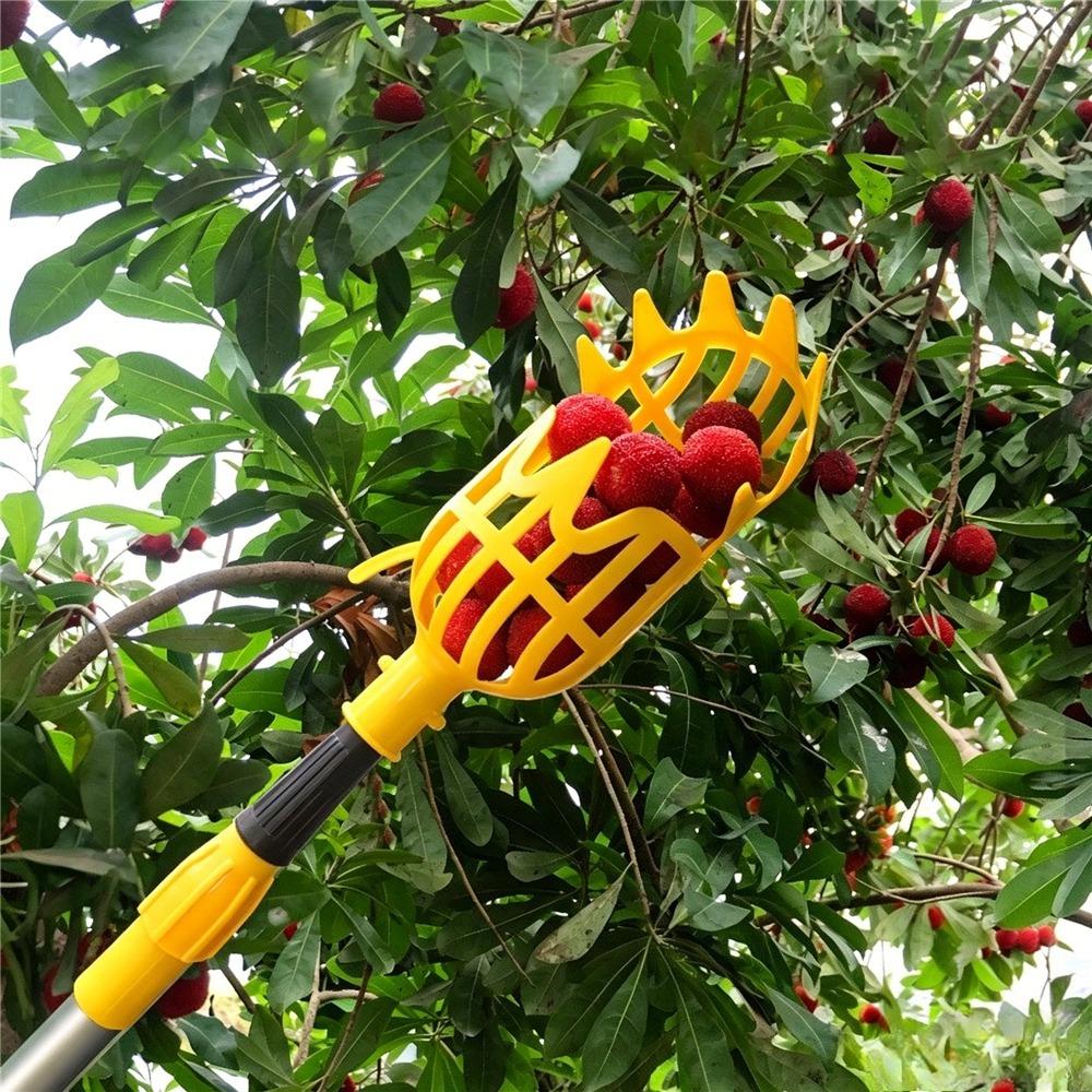 Fruit Picker Tool Multifunctional High Altitude Fruit Catcher Garden Harvest Picking Tool For Outdoor Orchard Yard