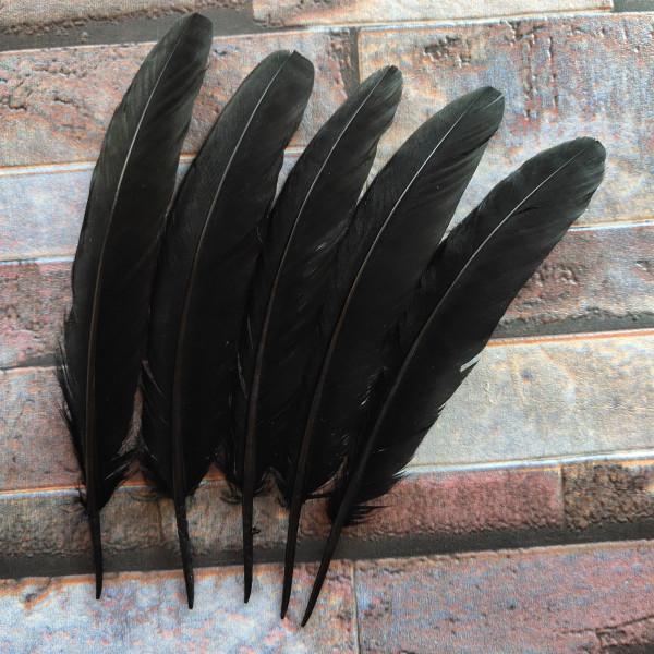 10 Pcs Beautiful High Quality 10-15cm/4-6inches Natural Pheasant Feathers 11 Colors Optional DIY Decorative