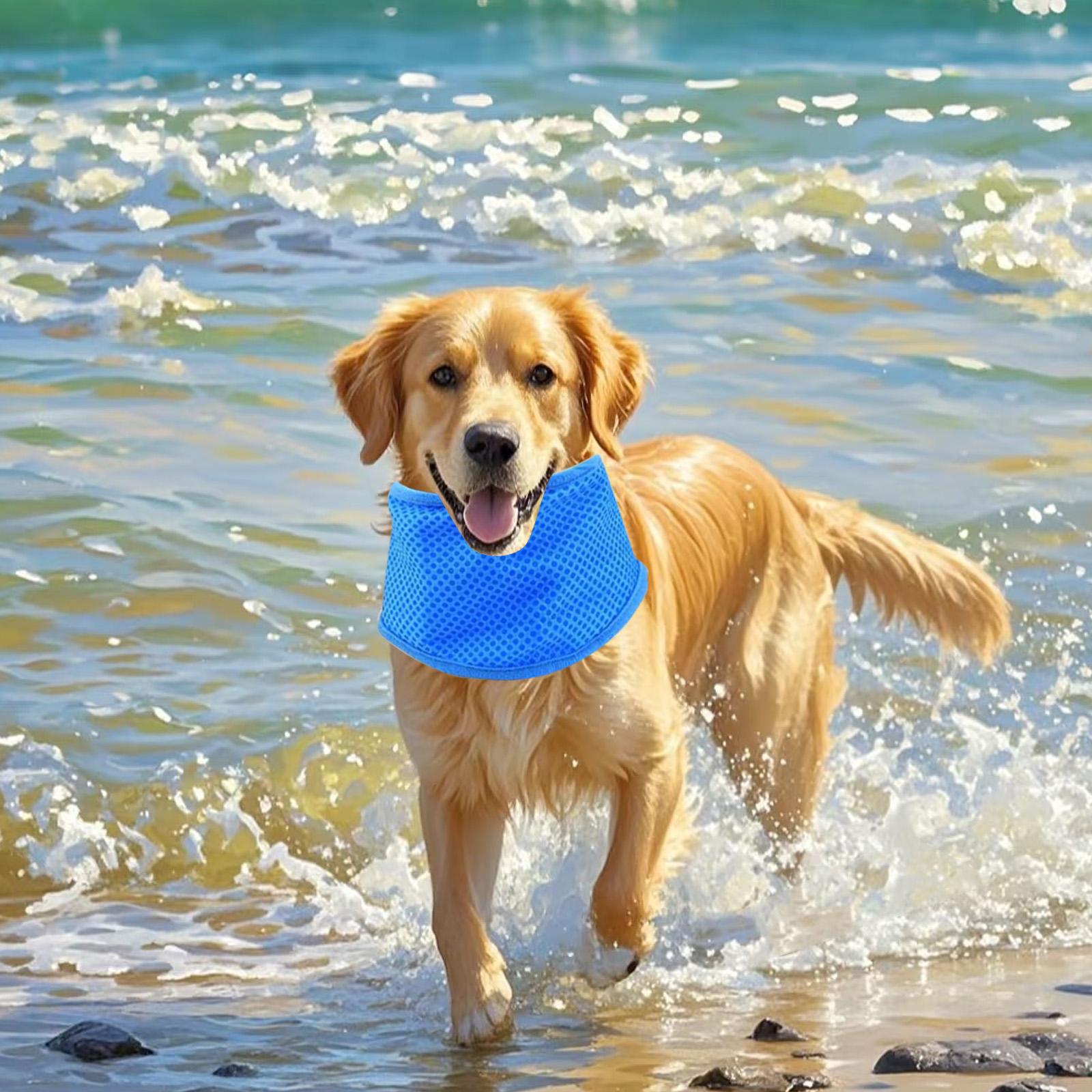 Dog Cat Puppy Bandana Pet Cooler Ice Cool Scarf Med Dries Fast Between Outings For Continuous . Pet Tie Out (Blue,S) синий