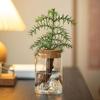 Thickened Hydroponic Flower Holder Glass Flower Pot Home Decor Mountain Viewing Bottle  Plant