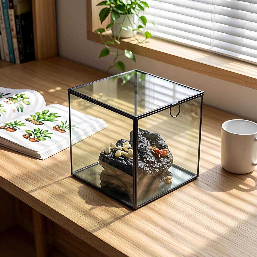 Nordische Glasglocke Schmuck- und Kosmetik-Aufbewahrungsbox