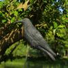 Black Scarer Pigeon Deterrent Lifelike Hunting Decoy Halloween Life Size Crow  Courtyard Garden