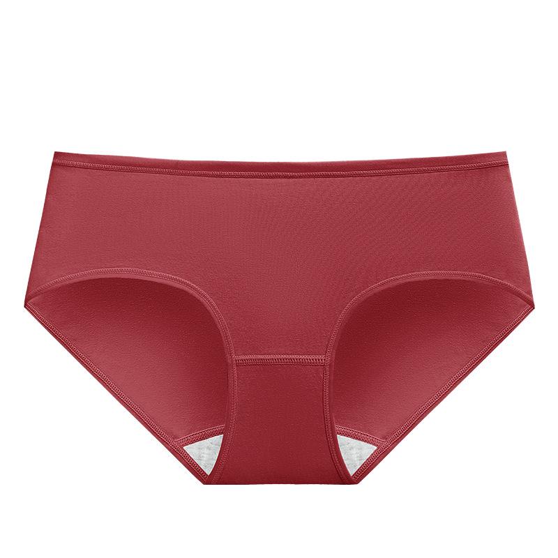 Women Panties 6 Pack Low Rise Cotton Briefs EU US Size Regular Pl-us Size Underwear Set