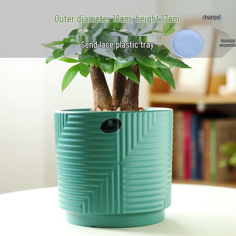 Elegant Large Ceramic Flower Pot with Saucer for Home - Light Luxury Style Ideal for Orchids, Succulents, and Green Plants