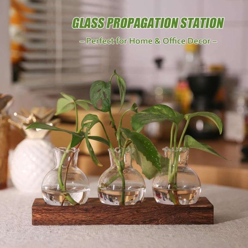 Kreatywny Roślinny Przezroczysty Szklany Wazon Hydroponiczny z Drewnianą Tacą na Kwiaty Sadzonki Roślin Ukorzenianie Doniczka Dekoracja Biurka