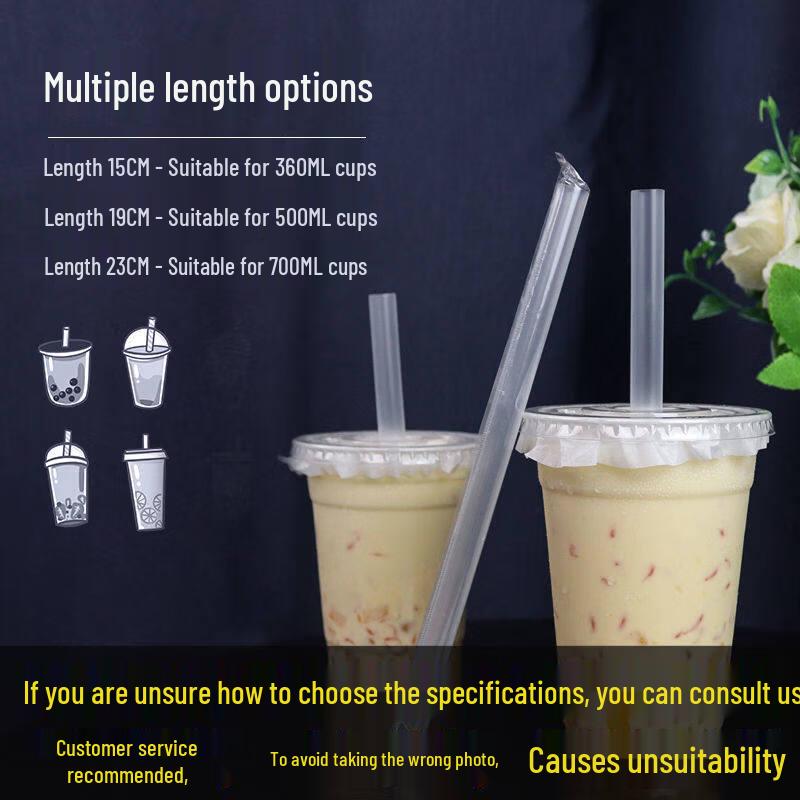 ZISIZ Disposable Drinking Straws