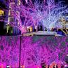 12 Meter LED Pixel String Light 40 Ft for Diwali, Christmas Home Decoration. Heavy Duty Copper Led Pixel String Light Rice String