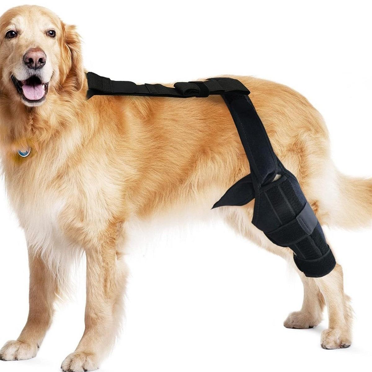 dog leg brace for torn acl Pet Dog Knee Pad, Dog Joint Leg Protector, Dog Rehabilitation Protective Gear elbow hygroma protector