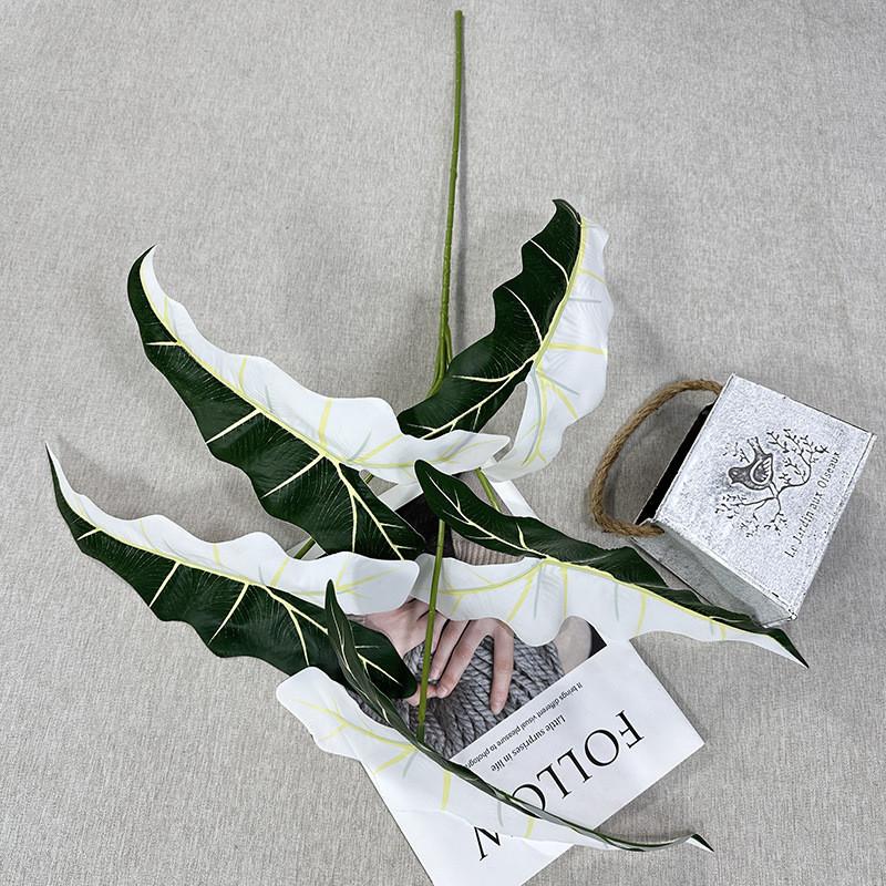 

Simulated Alocasia Plant Odora Mall Hotel Courtyard Green Plant Decoration HalfWhite Green