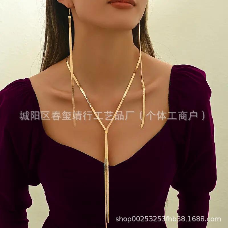 Accessories Hip Hop Simple Snake Bone Chain Collarbone Chain Chocker Niche Metal Chain Necklace